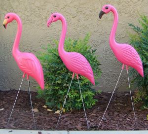 Flamingo-June26_1011-002