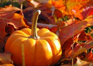 fall-leaves-and-pumpkins-1